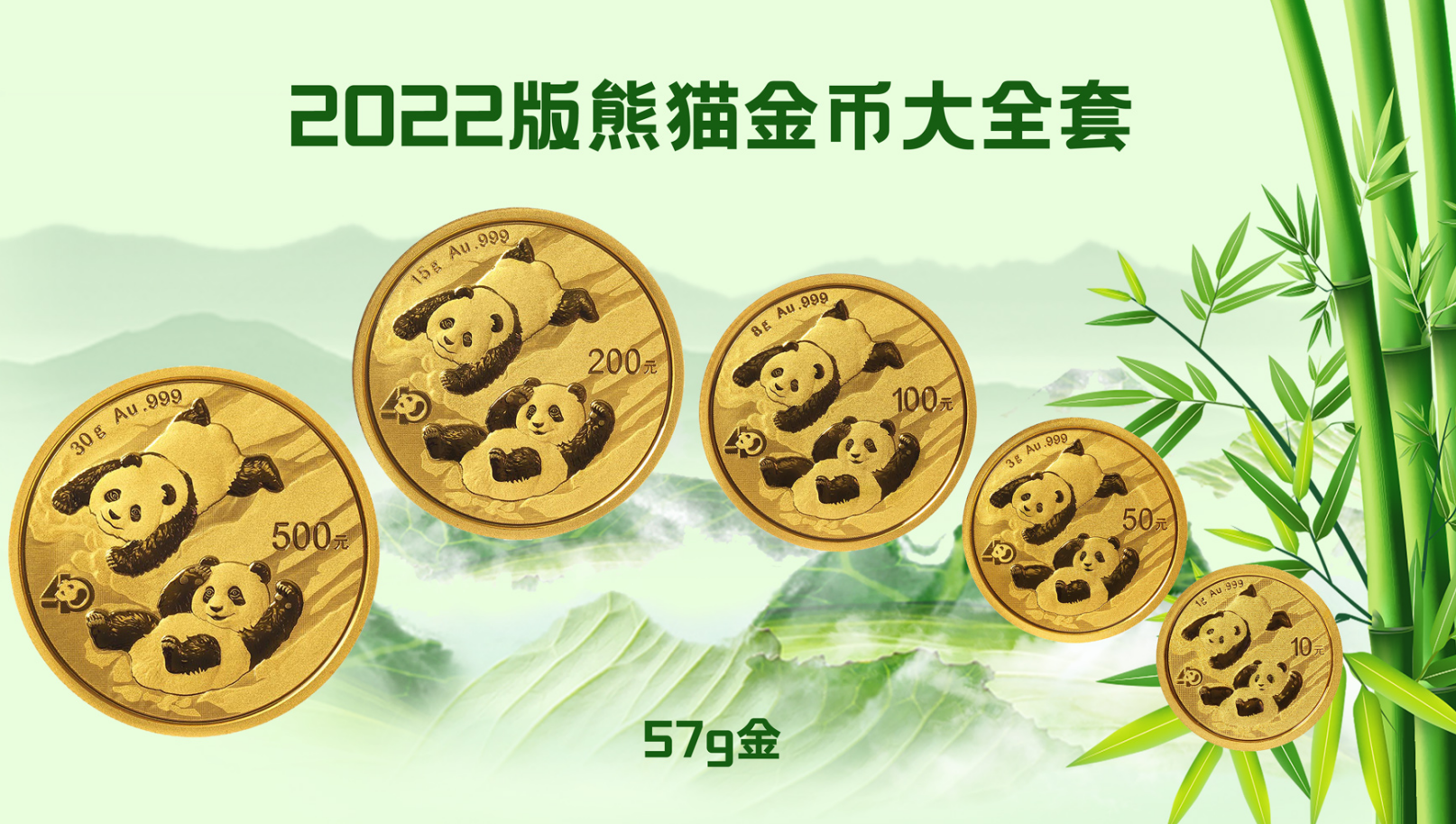 2022版熊猫普制金币大全套